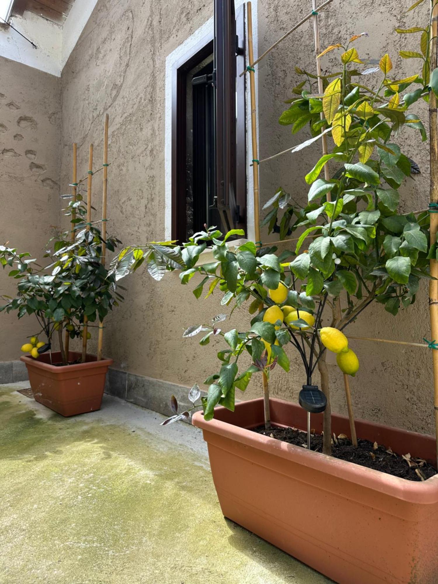 B&B La Corte Puegnago Kültér fotó
